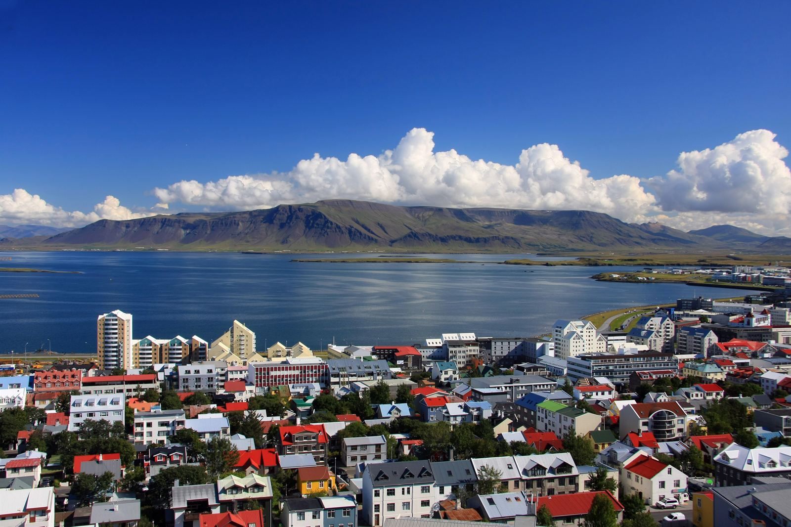 Colorful rooftops of Reykjavik in summer, looking across the bay to a long flat-topped mountain under white clouds